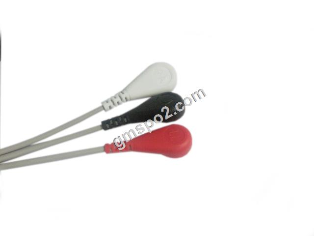 3-LEAD smella aha-.jpg