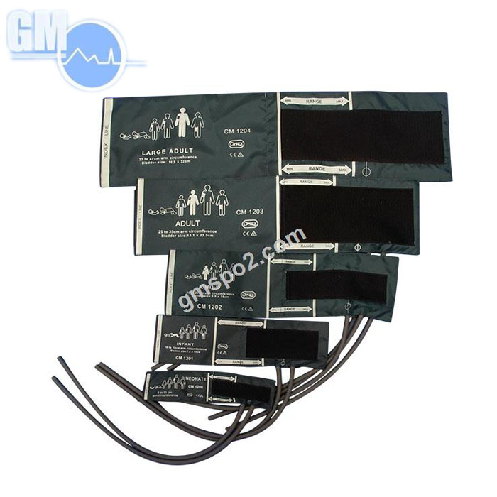 blóðþrýstingsþörungur með gasbag.jpg